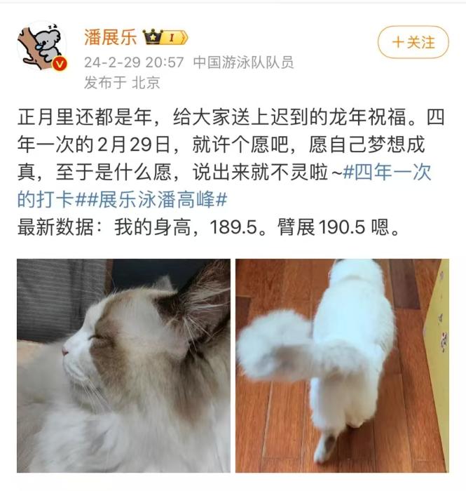 潘展乐：嘲讽和欢呼在水里听不见，专注成就逆